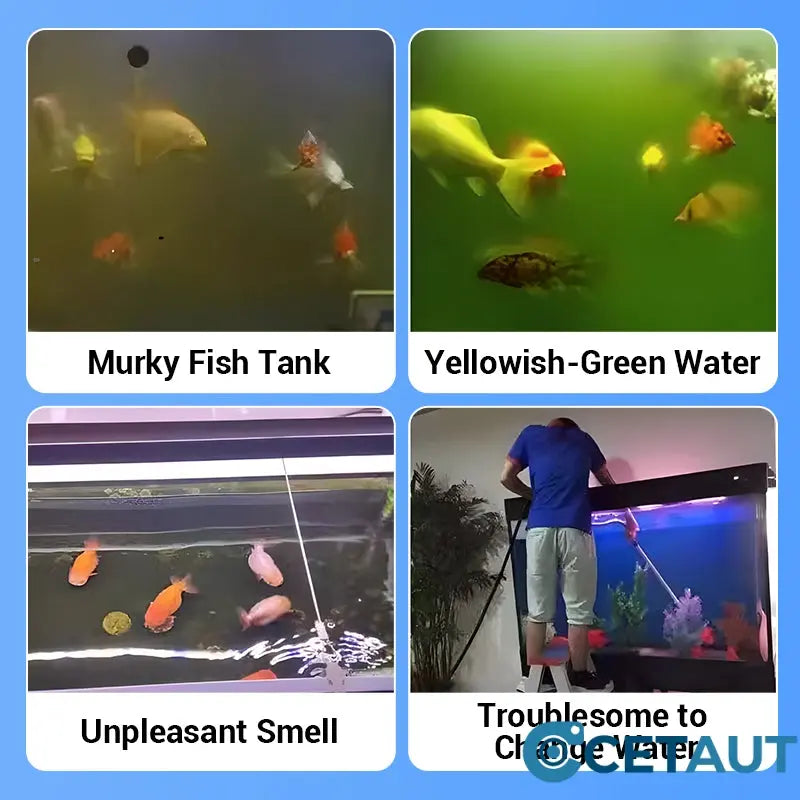 Leistungsstarke Tablette zur Reinigung von Aquarienwasser cetaut