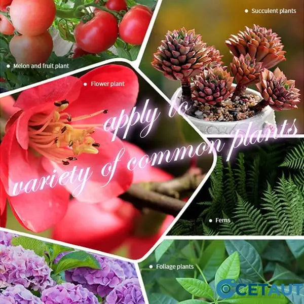 Blumen glücklich machen – ganz ohne Aufwand!Bio-Dünger Tabletten | Langzeitwirkung für üppige Pflanzen | 50% Rabatt 🌱 cetaut