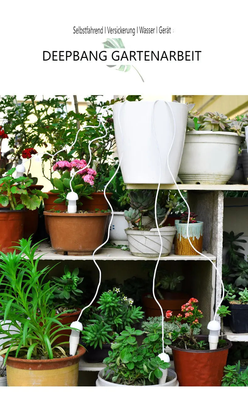 ⚙️ Innovativ & stromlos: Bewässerung durch physikalische Schwerkraft! ♻️ 100% recycelter Kunststoff + Gips | Umweltfreundlich & stabil cetaut