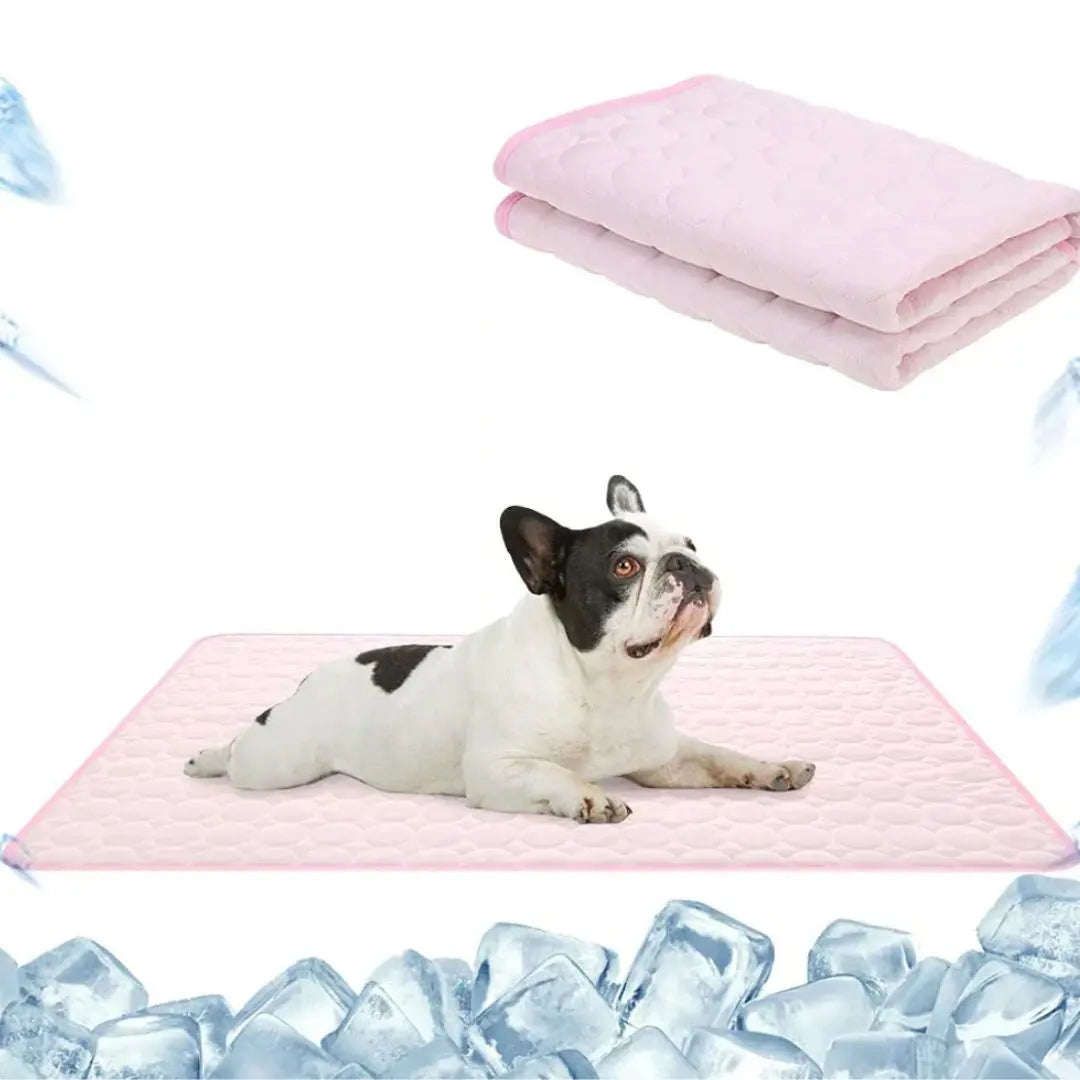 🔥🧊Letzter Tag 49 % Rabatt😍Emmalove Kühlmatte für Hunde & Katzen - Selbstkühlend für alle Haustiere | Extra leicht & geruchlos | 100x70cm Universalgröße🐶🐱 cetaut