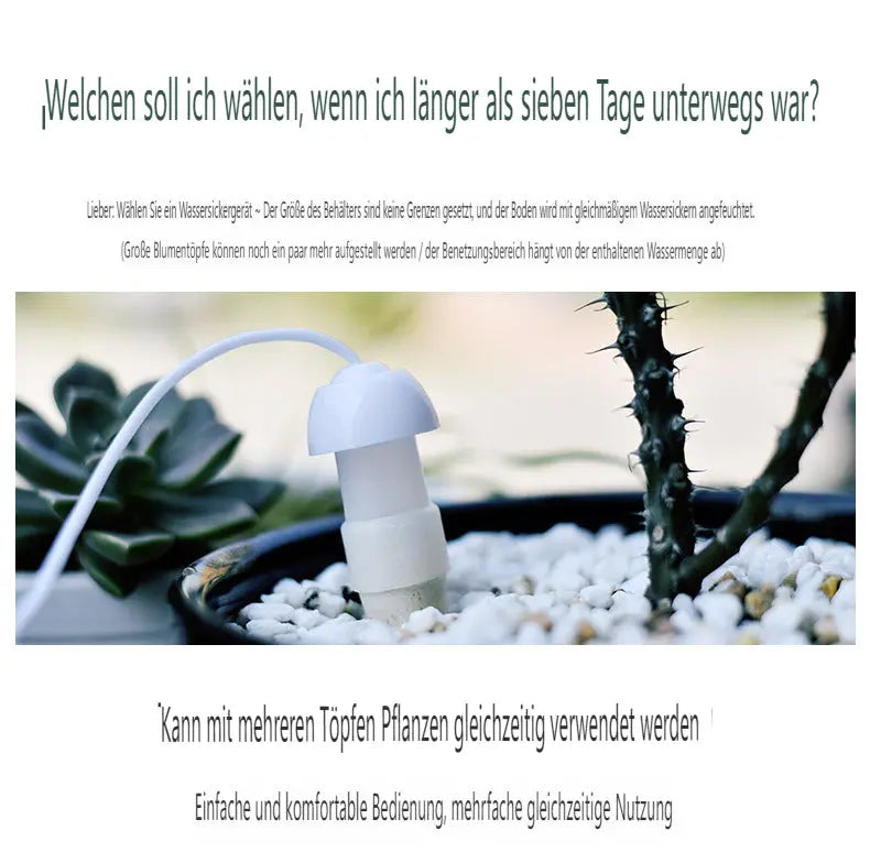 ⚙️ Innovativ & stromlos: Bewässerung durch physikalische Schwerkraft! ♻️ 100% recycelter Kunststoff + Gips | Umweltfreundlich & stabil cetaut