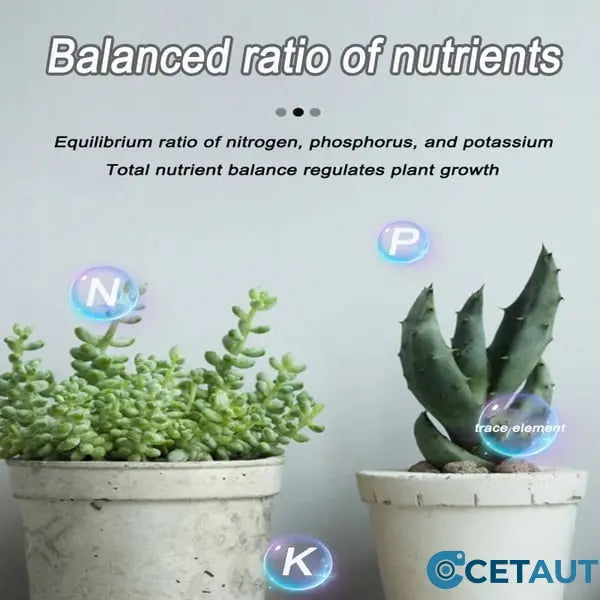 Blumen glücklich machen – ganz ohne Aufwand!Bio-Dünger Tabletten | Langzeitwirkung für üppige Pflanzen | 50% Rabatt 🌱 cetaut