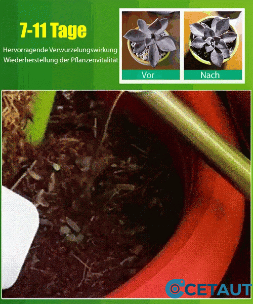 🪴Kaufen Sie 3 für 5 (8 Flaschen）🌼Flüssige Lösung zur Aktivierung von Pflanzen und Blumen✨ cetaut