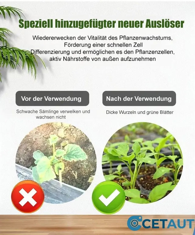 🪴Kaufen Sie 3 für 5 (8 Flaschen）🌼Flüssige Lösung zur Aktivierung von Pflanzen und Blumen✨ cetaut