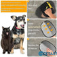 🔥Letzter Tag🐶🐱Doppelseitige Haustierpflegehandschuhe – Sauber, schnell und bequem! cetaut