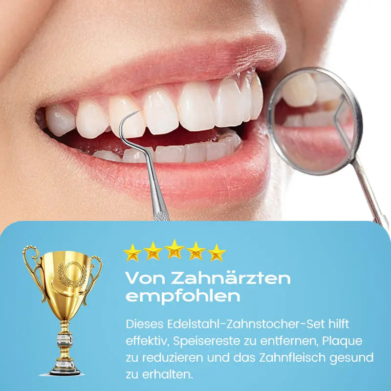 ⚡ Edelstahl Zahnstocher Set | Hygienisch & Langlebig 🦷✅ cetaut
