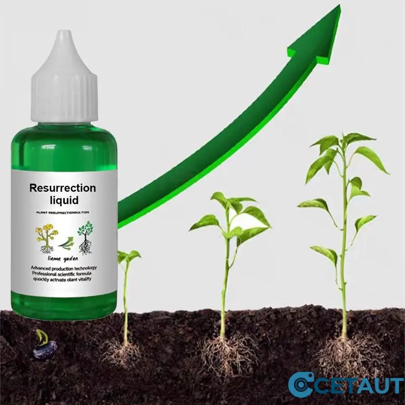 🪴Kaufen Sie 3 für 5 (8 Flaschen）🌼Flüssige Lösung zur Aktivierung von Pflanzen und Blumen✨ cetaut