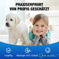 Wasserdichtes Dichtspray zur Abdichtung cetaut