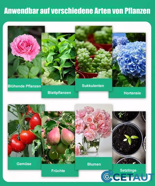 🪴Kaufen Sie 3 für 5 (8 Flaschen）🌼Flüssige Lösung zur Aktivierung von Pflanzen und Blumen✨ cetaut
