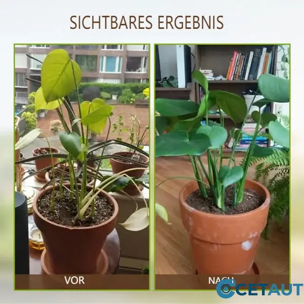 🌱 Blühende Erde, mühelos natürlich – mit ECOCERT -Power🔔 Verbessern Sie Ihren Boden JETZT 🌱Bodenverbesserung cetaut