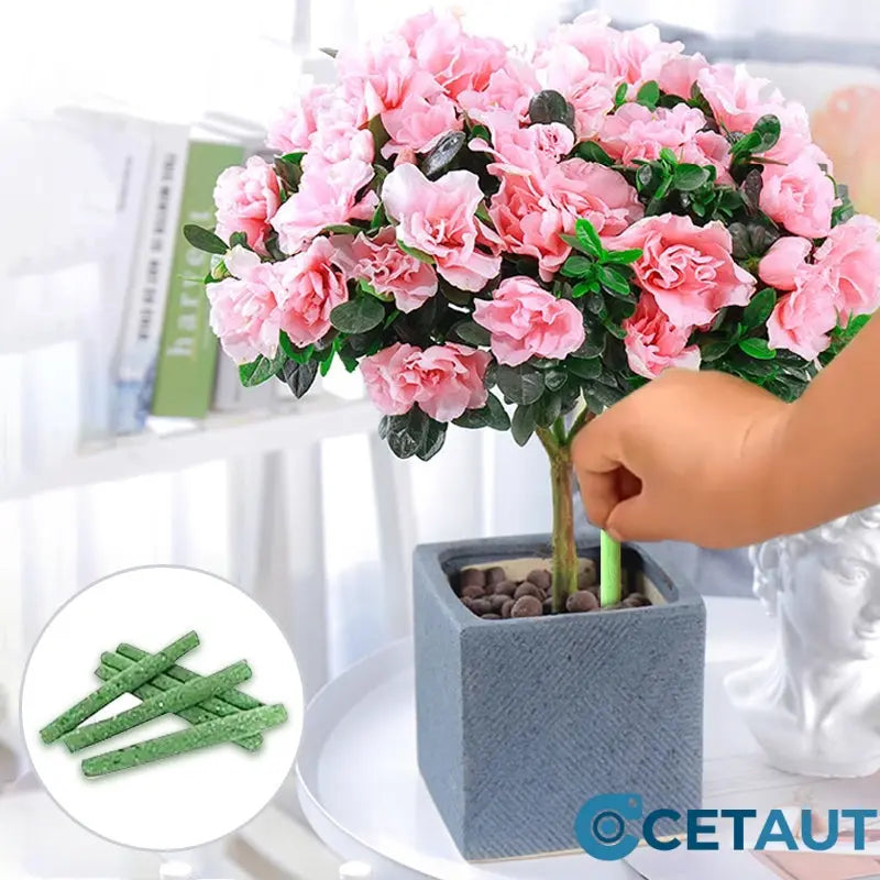 🌱Pflanzenpower ohne Stress –💥 Langzaam vrijkomende organische meststof in stickvorm voor kamerplanten cetaut