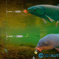 🔥Mehr Kaufen Mehr Sparen🔥3 Haken Anti Drift Bottom Fishing Rig cetaut
