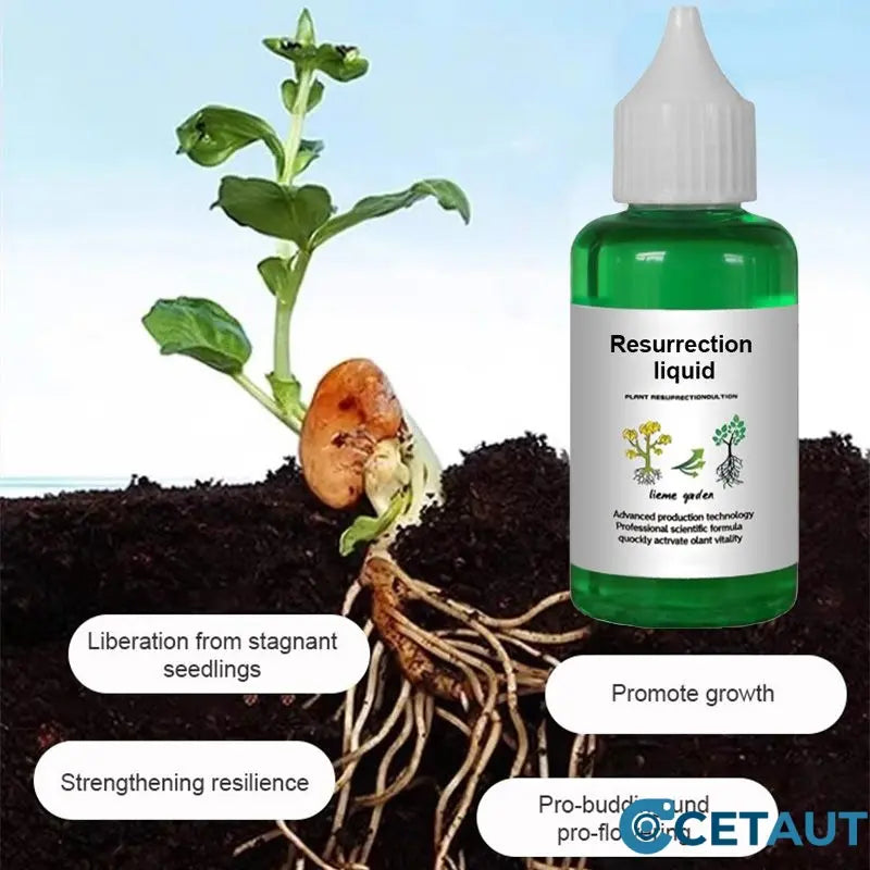 🪴Kaufen Sie 3 für 5 (8 Flaschen）🌼Flüssige Lösung zur Aktivierung von Pflanzen und Blumen✨ cetaut
