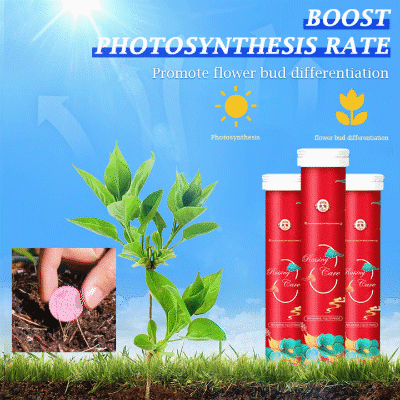 🌱Blumen glücklich machen – ganz ohne Aufwand!Bio-Dünger Tabletten | Langzeitwirkung für üppige Pflanzen | 50% Rabatt cetaut