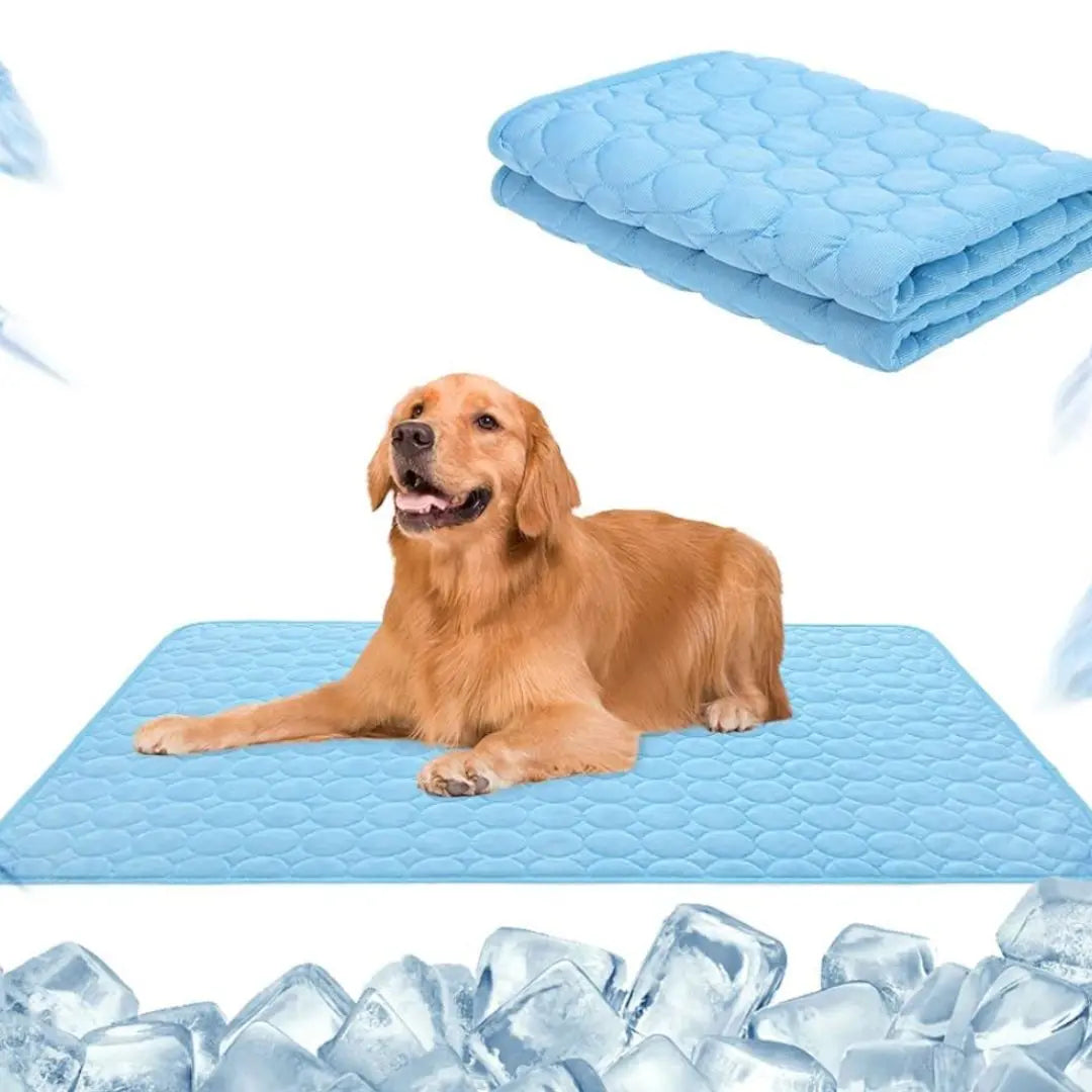 🔥🧊Letzter Tag 49 % Rabatt😍Emmalove Kühlmatte für Hunde & Katzen - Selbstkühlend für alle Haustiere | Extra leicht & geruchlos | 100x70cm Universalgröße🐶🐱 cetaut