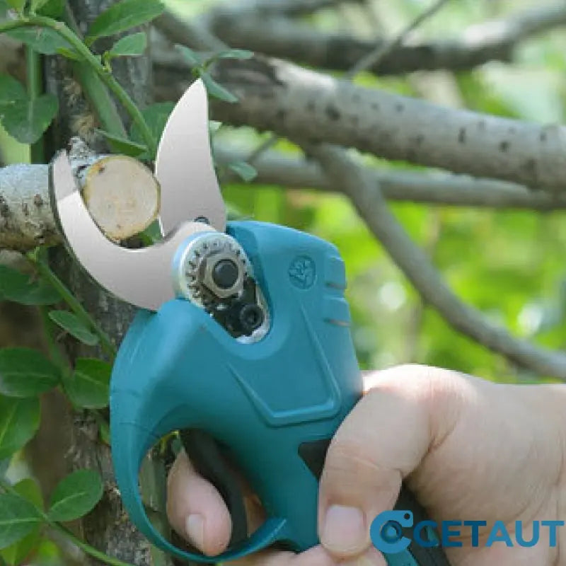 Elektrische Gartenschere cetaut