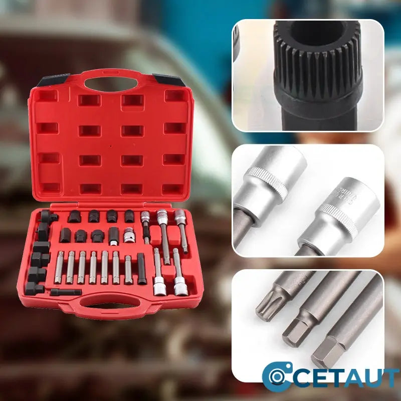 Generator-Riemenscheiben-Ausbauwerkzeugsatz mit Organizer（50% OFF） cetaut
