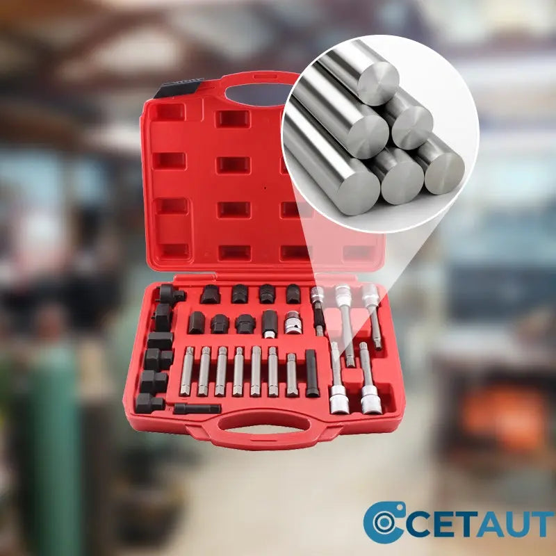 Generator-Riemenscheiben-Ausbauwerkzeugsatz mit Organizer（50% OFF） cetaut
