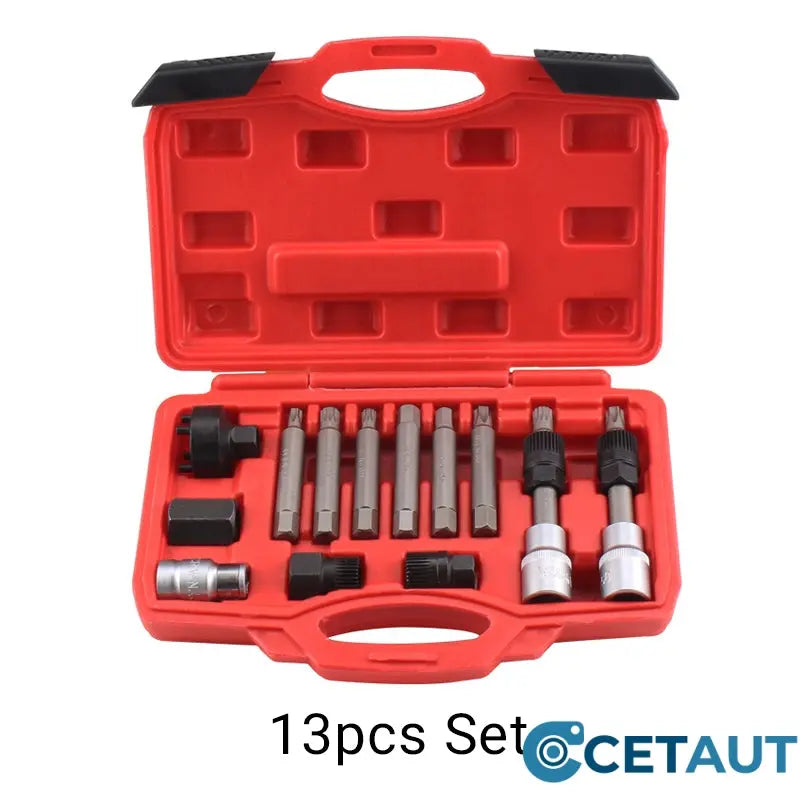 Generator-Riemenscheiben-Ausbauwerkzeugsatz mit Organizer（50% OFF） cetaut