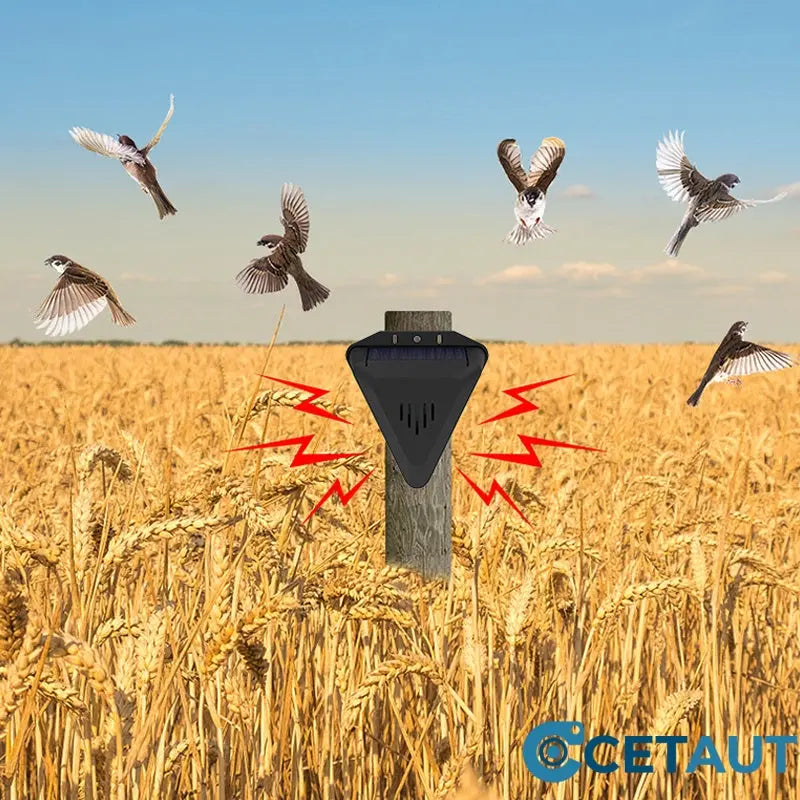 Wasserdichter Solar-Vogelabwehr für den Außenbereich cetaut