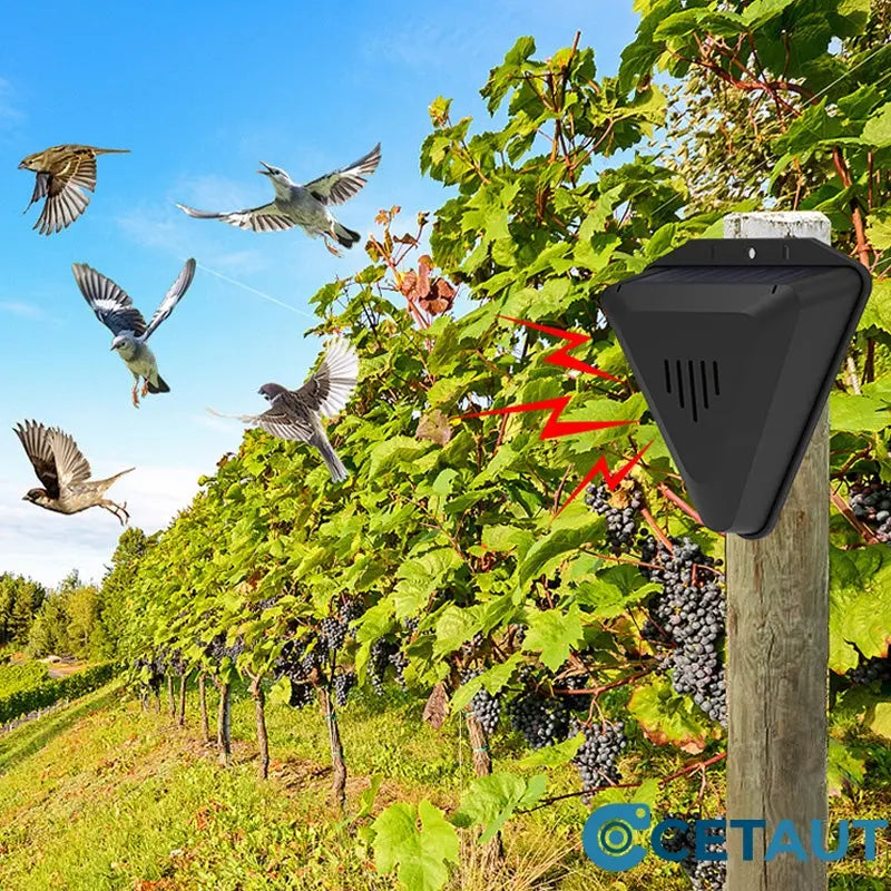 Wasserdichter Solar-Vogelabwehr für den Außenbereich cetaut
