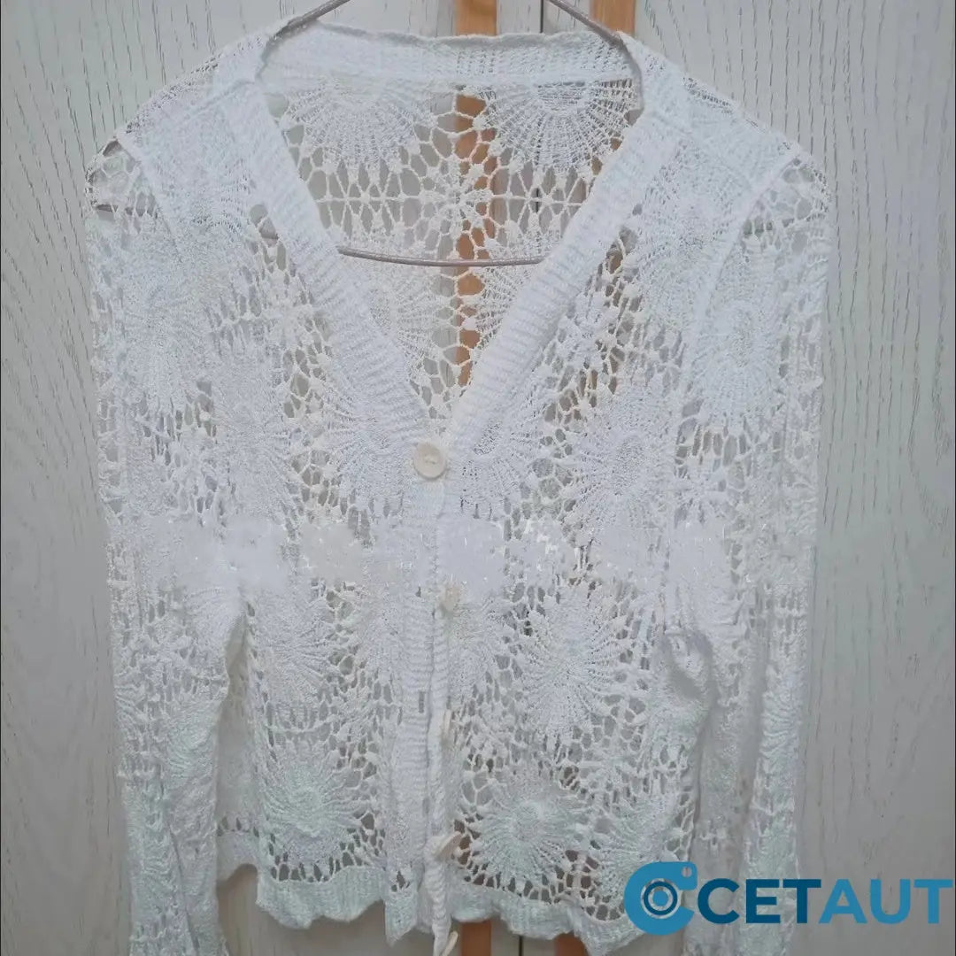 Elegance trifft Komfort: Leichte Spitze für jeden Tag🌸Damen Spitze V-Ausschnitt Langarm Top cetaut