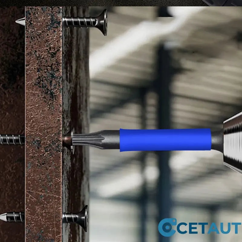 🧲 Magnetischer Schraubendreher-Set mit Phillips & Torx – 15-teilig | Robuste Bits + Schnellwechsel-System ⚡ cetaut