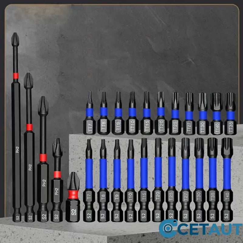 🧲 Magnetischer Schraubendreher-Set mit Phillips & Torx – 15-teilig | Robuste Bits + Schnellwechsel-System ⚡ cetaut