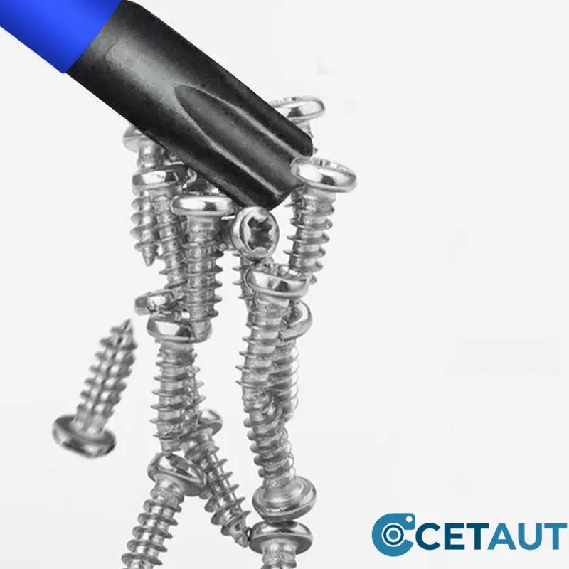🧲 Magnetischer Schraubendreher-Set mit Phillips & Torx – 15-teilig | Robuste Bits + Schnellwechsel-System ⚡ cetaut