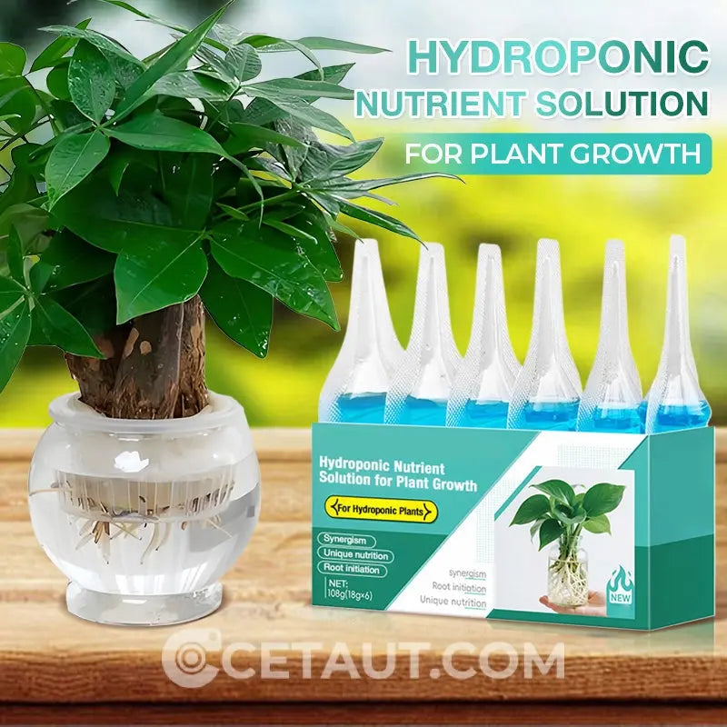 Hydrokultur-Nährlösung: Wachstumsbooster für Pflanzen 🌱⚗️💚 cetaut