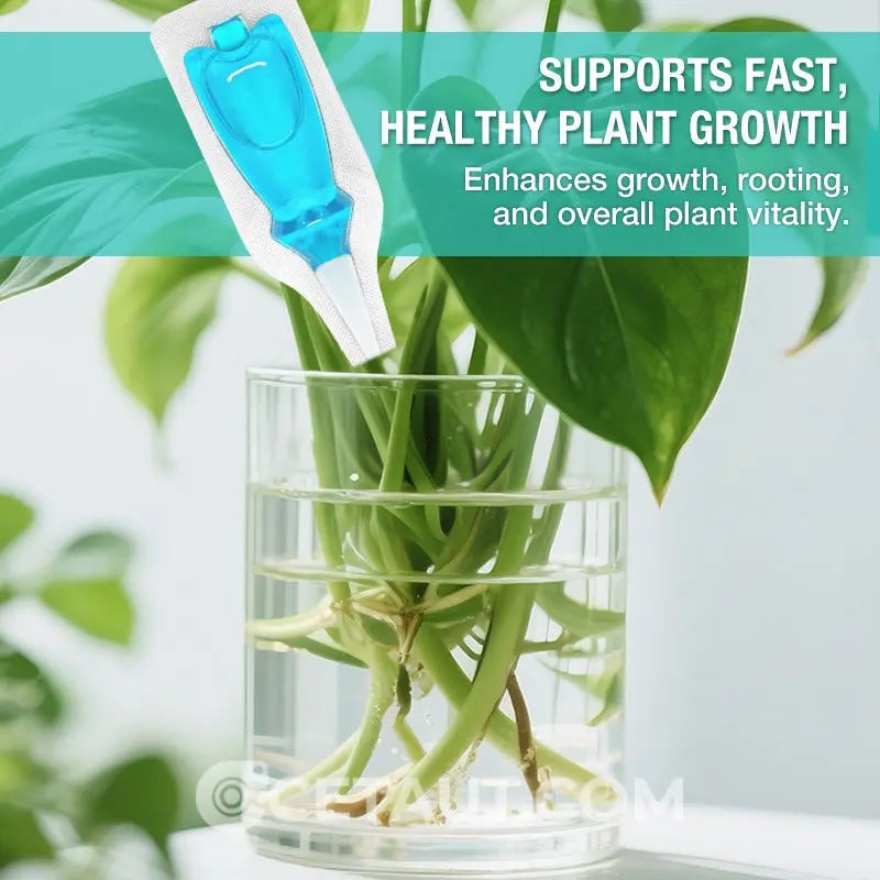 Hydrokultur-Nährlösung: Wachstumsbooster für Pflanzen 🌱⚗️💚 cetaut