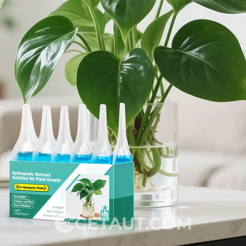 Hydrokultur-Nährlösung: Wachstumsbooster für Pflanzen 🌱⚗️💚 cetaut