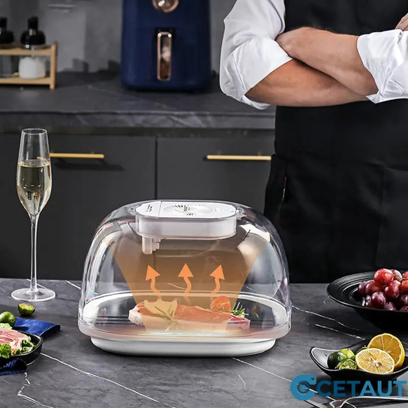 🎁 [Praktisches Geschenk] 🔥 Home Gefrorenes Fleisch Zutaten Auftauen Maschine 🥩 cetaut