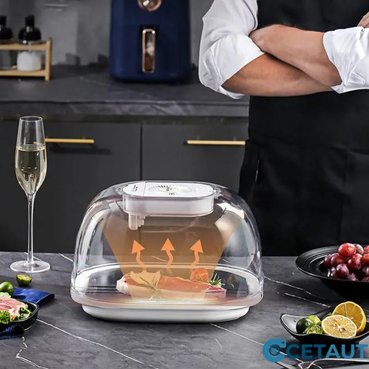 🎁 [Praktisches Geschenk] 🔥 Home Gefrorenes Fleisch Zutaten Auftauen Maschine 🥩 cetaut