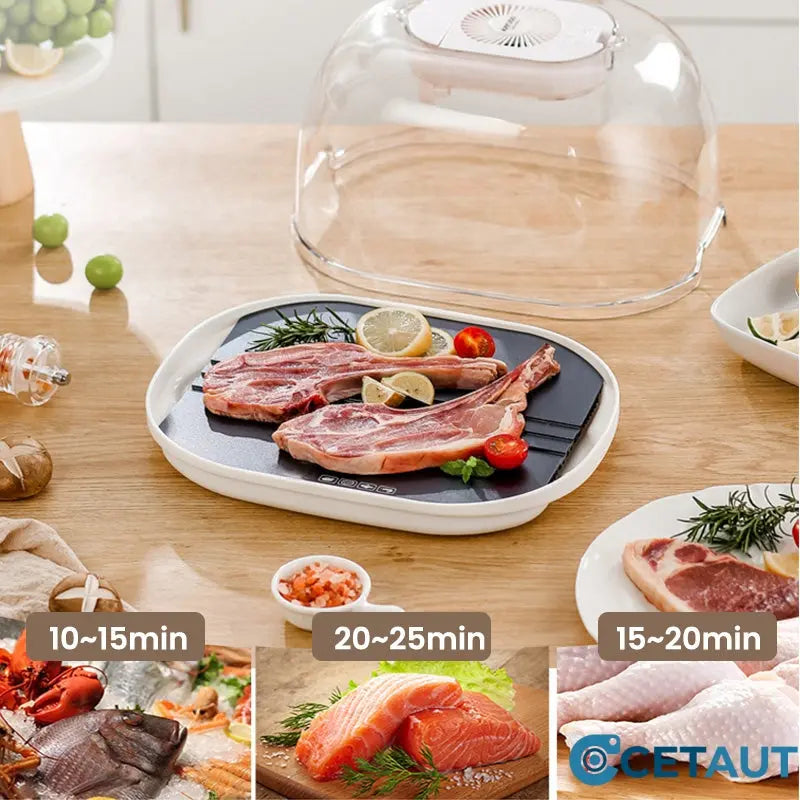 🎁 [Praktisches Geschenk] 🔥 Home Gefrorenes Fleisch Zutaten Auftauen Maschine 🥩 cetaut