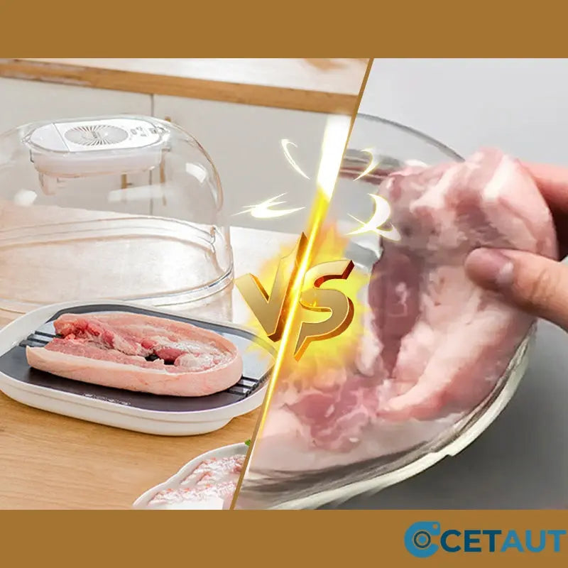 🎁 [Praktisches Geschenk] 🔥 Home Gefrorenes Fleisch Zutaten Auftauen Maschine 🥩 cetaut