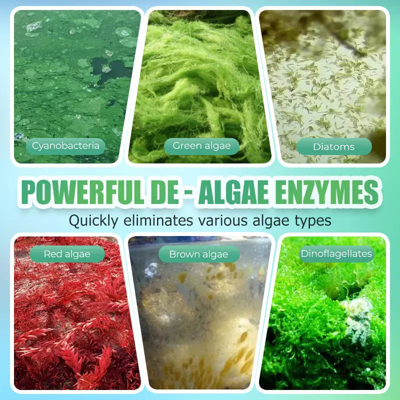 Algizid-Entferner für Aquarien cetaut