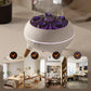 Dynamic Jellyfish Essential Oil Diffuser ＆ Humidifier cetaut