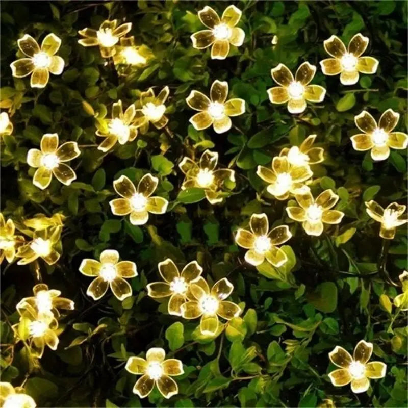 Festival waterdichte LED slinger verlichting voor decoratie van gazon en binnenplaats cetaut