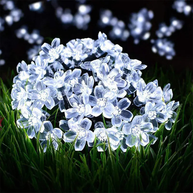 Festival waterdichte LED slinger verlichting voor decoratie van gazon en binnenplaats cetaut