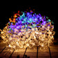 Festival waterdichte LED slinger verlichting voor decoratie van gazon en binnenplaats cetaut