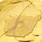 🔥Heißer Verkauf 50 % Rabatt🔥Wetterbeständige Goldfarbe auf Wasserbasis